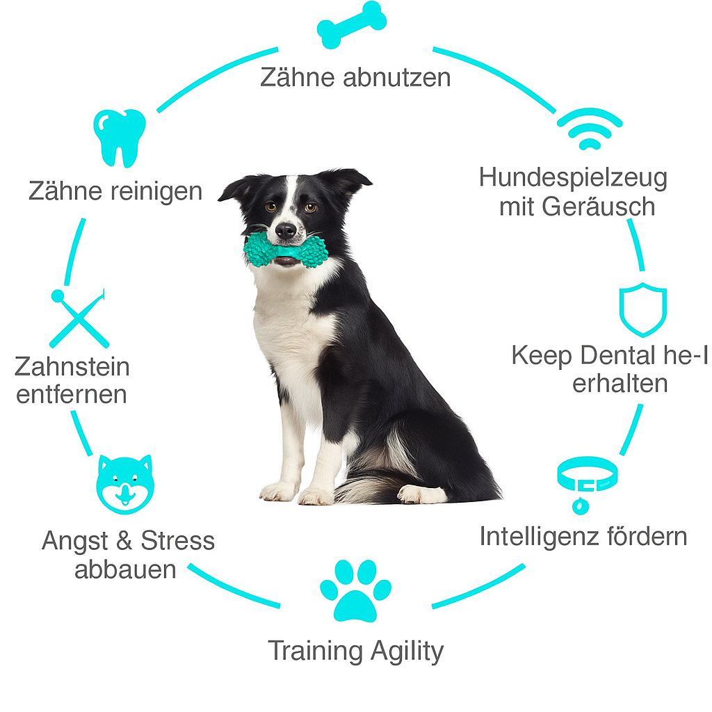 Hundespielzeug zur Zahnpflege – robust & effektiv