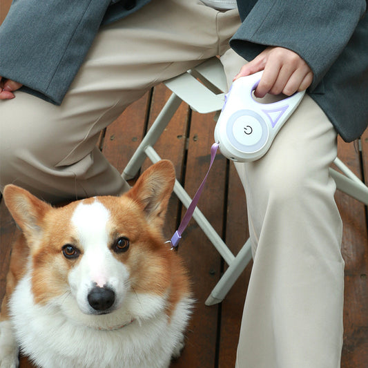 Automatische Leine mit LED & Halsband – Komfort und Sicherheit bei jedem Spaziergang! 🐕💡