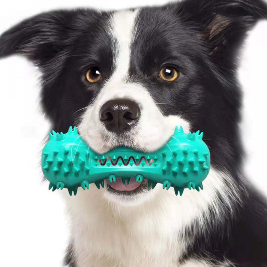 Hundespielzeug zur Zahnpflege – robust & effektiv