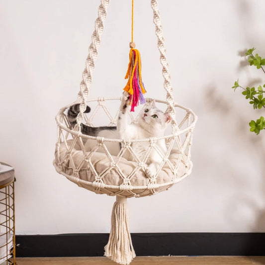 Katzen Schaukel